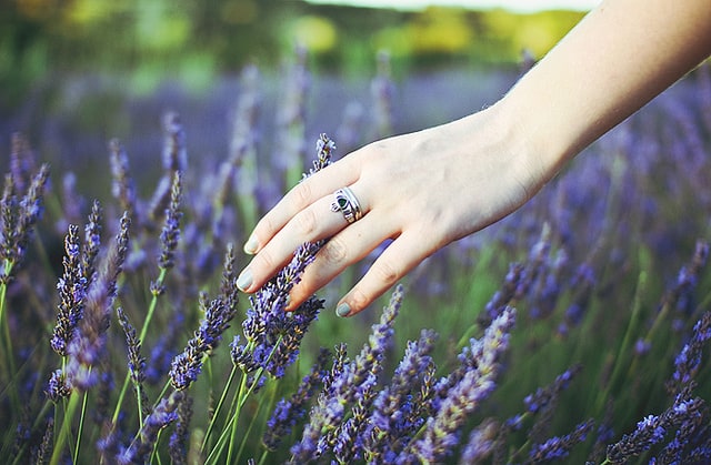 lavender is one of the best natural herbs