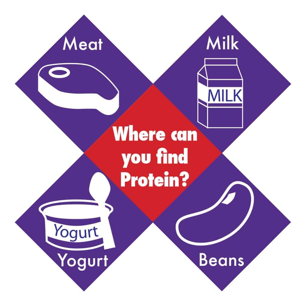 Find Protein
